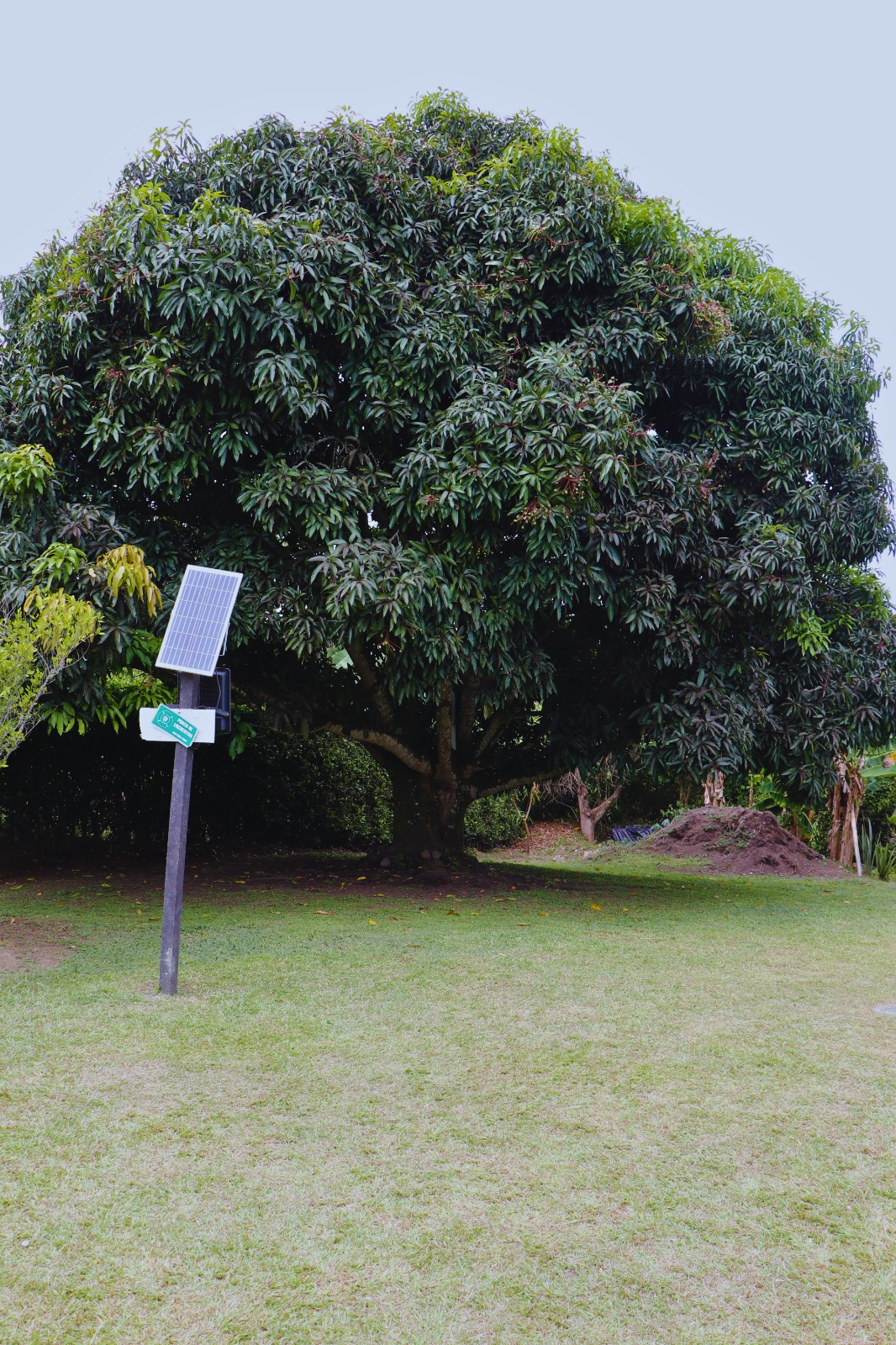 Foto de Finca en Venta en Combia, Pereira - 14 - 279064832