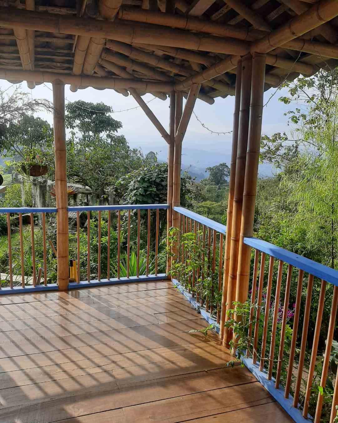 Foto de Finca en Venta en Alto castillo, Villamaria - 8 - 279061533
