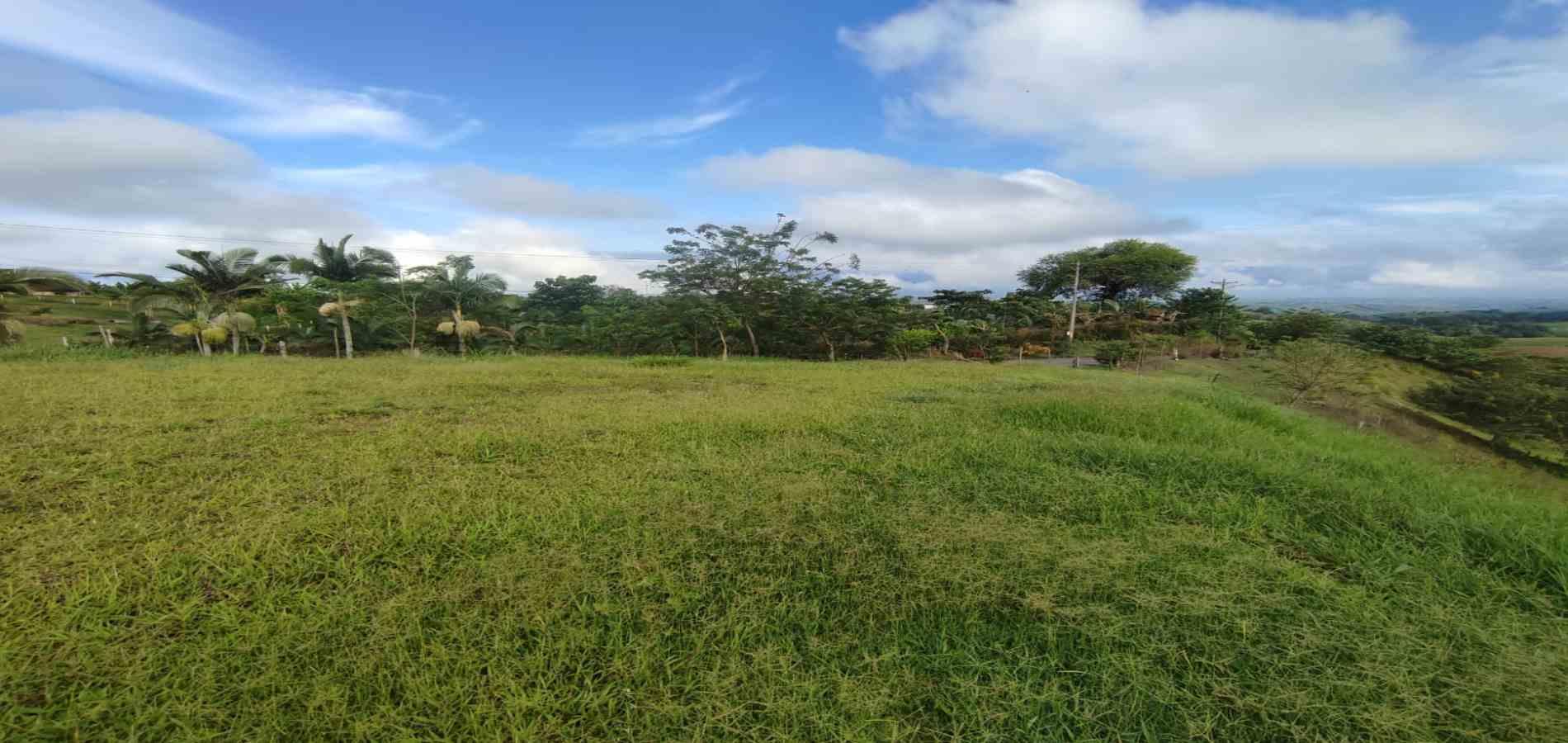 Foto de Lote / terreno en Venta en Cerritos, Pereira - 13 - 279063207