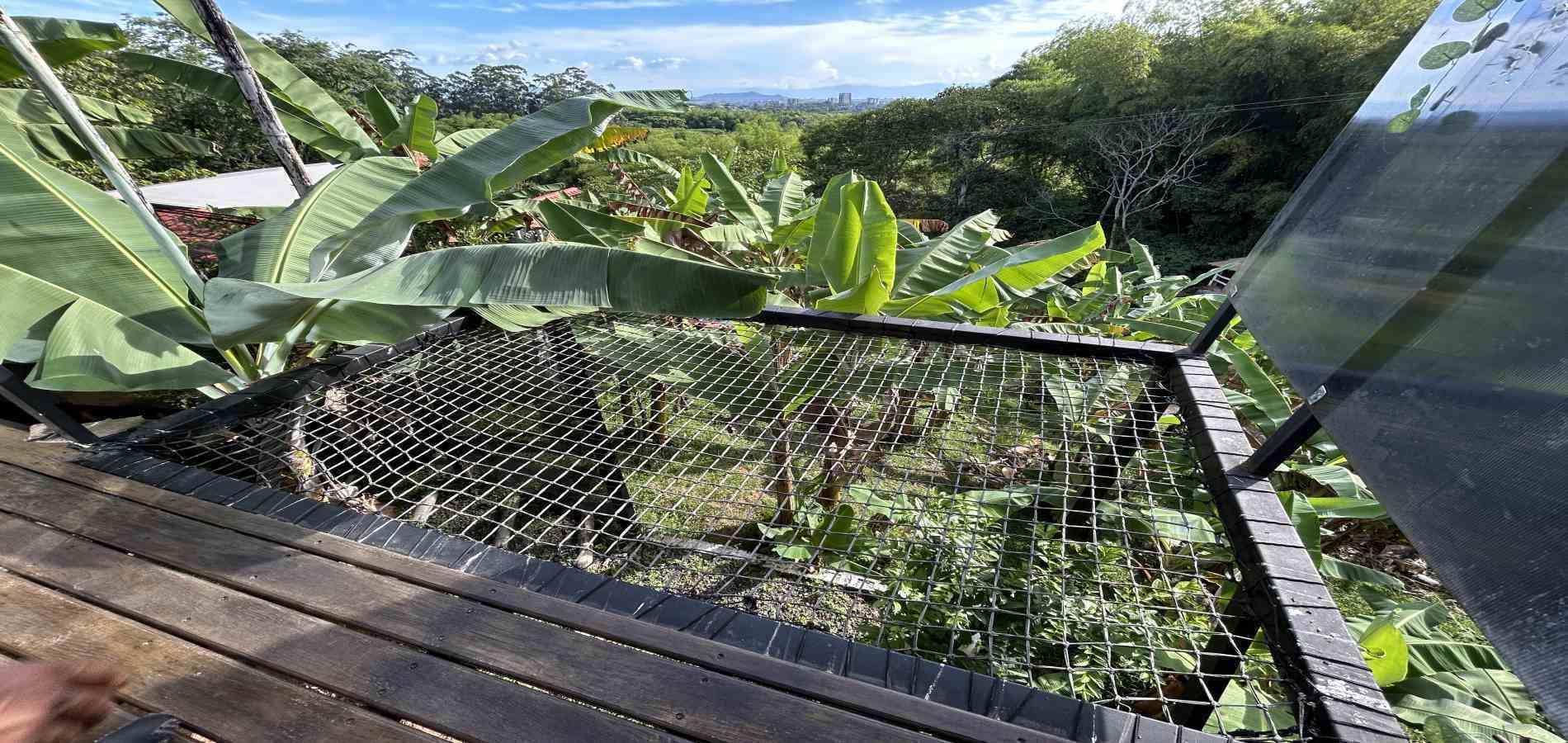 Foto de Casa campestre en Venta en La siria, Pereira - 4 - 279069267