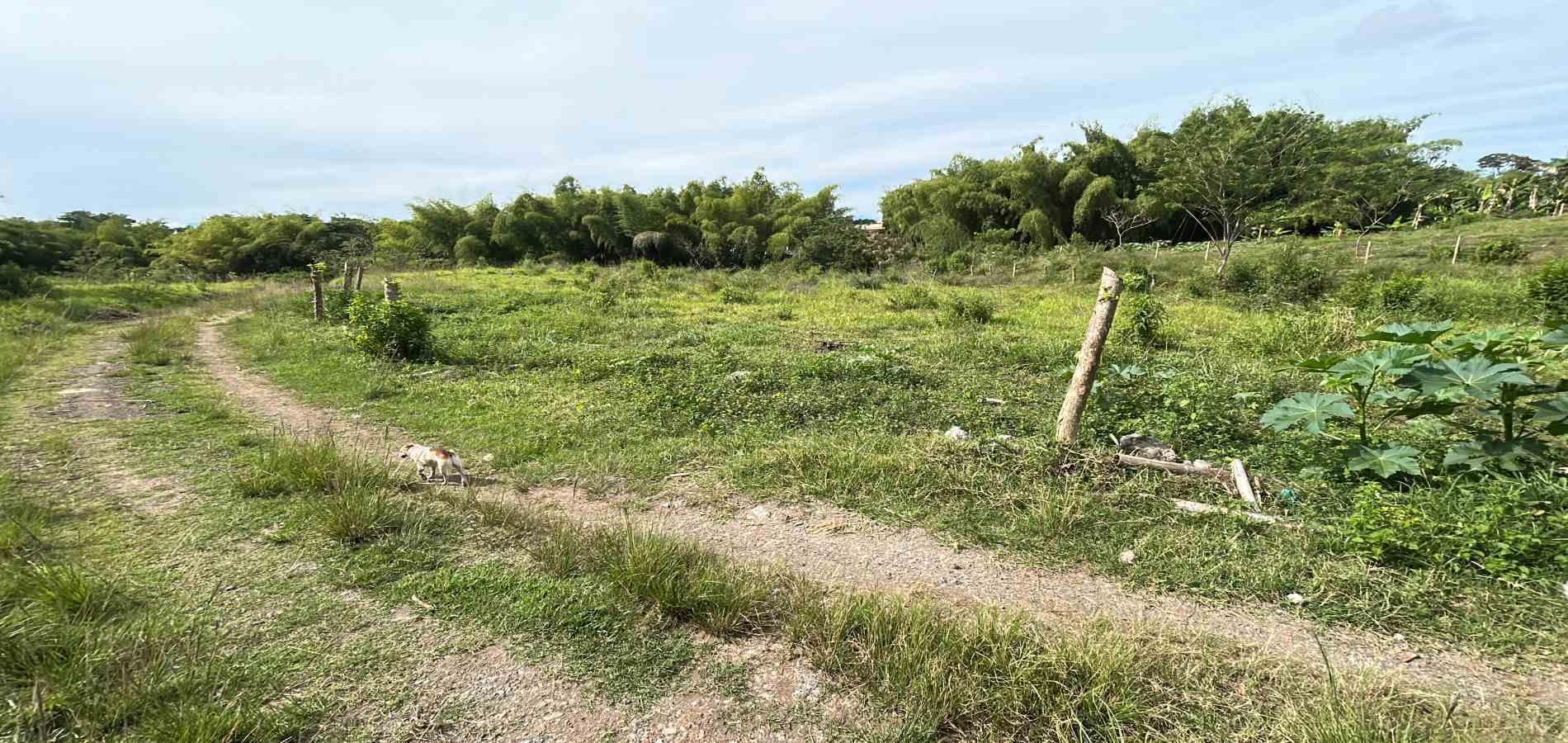 Foto de Lote / terreno en Venta en Cerritos, Pereira - 12 - 279068090