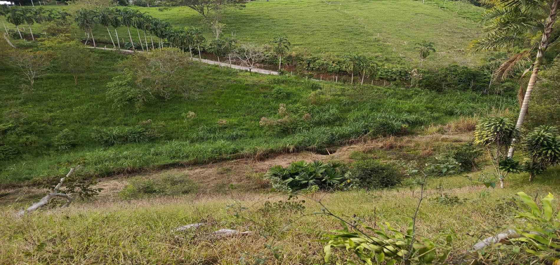 Foto de Lote / terreno en Venta en Via alcala, Pereira - 5 - 279061897