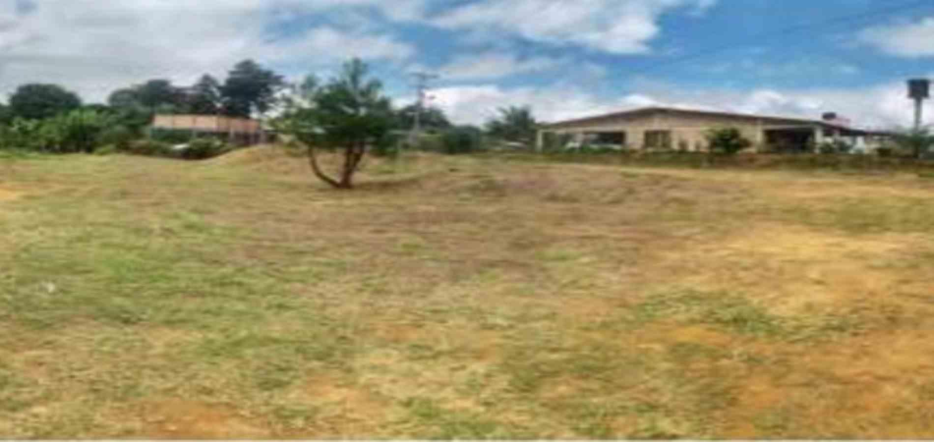 Foto de Lote / terreno en Venta en La plata, Palestina - 1 - 279054346
