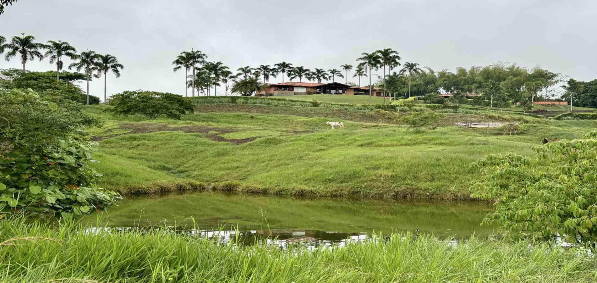 Foto de Lote / terreno para Venta en Cerritos, Pereira - 279059921