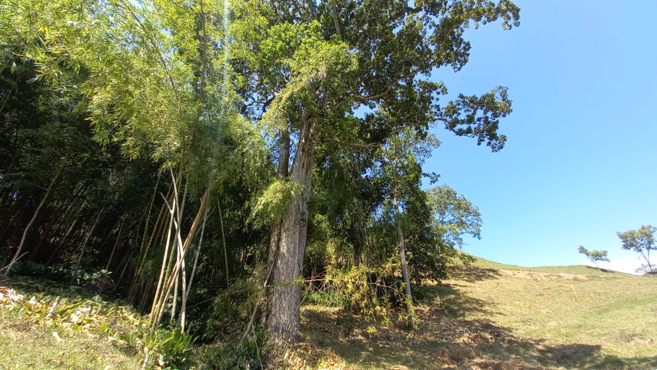 Foto de Lote / terreno en Venta en Vereda santagueda, Palestina - 7 - 279058796