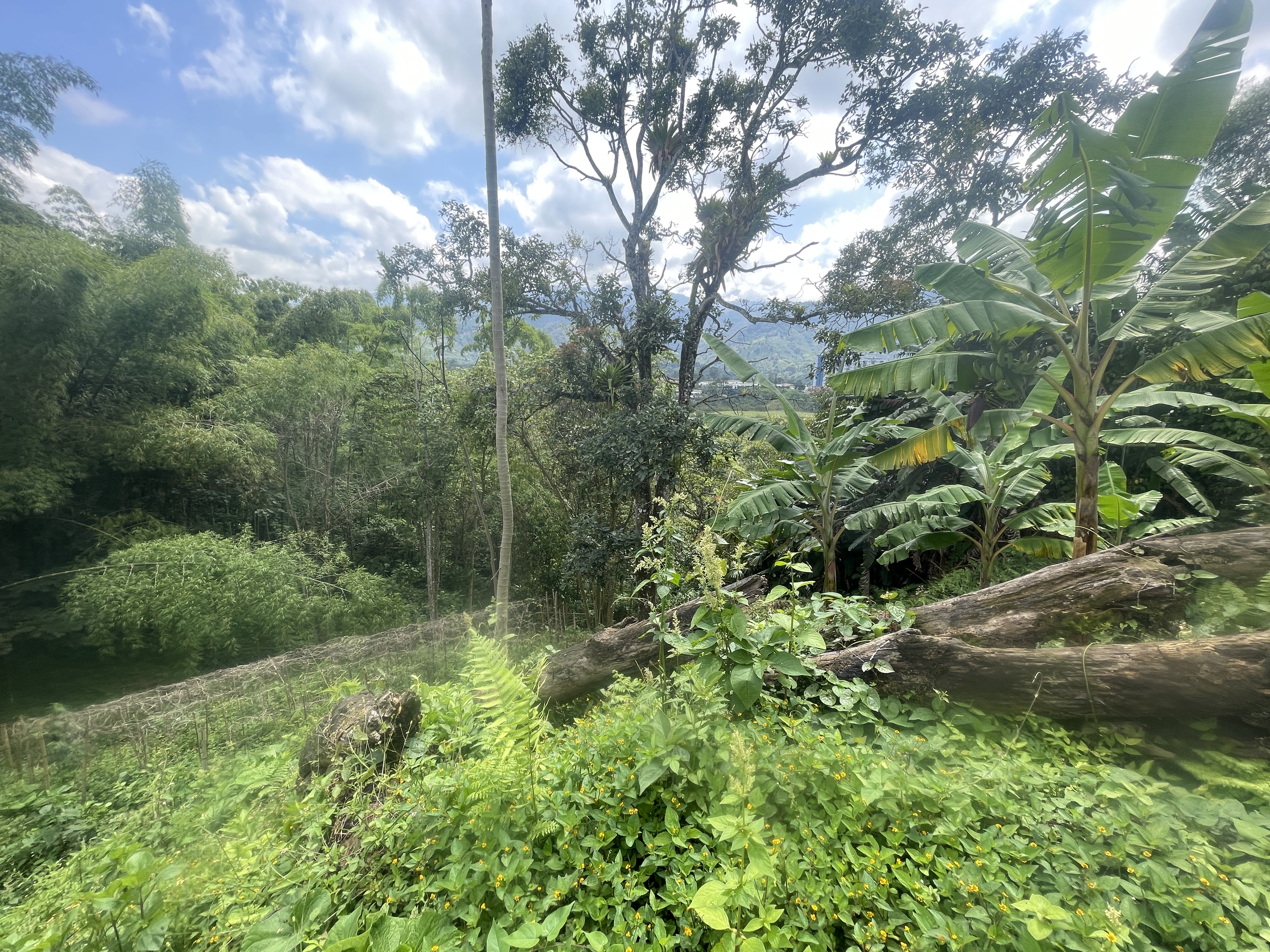 Foto de Lote / terreno en Venta en Av bolivar, Armenia  - 4 - 279065795