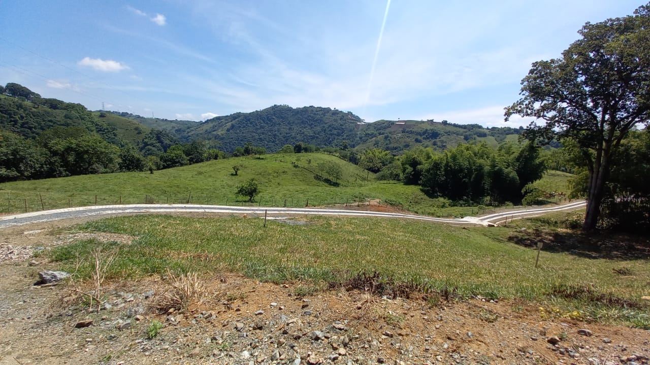 Foto de Lote / terreno en Venta en Vereda santagueda, Palestina - 4 - 279058796