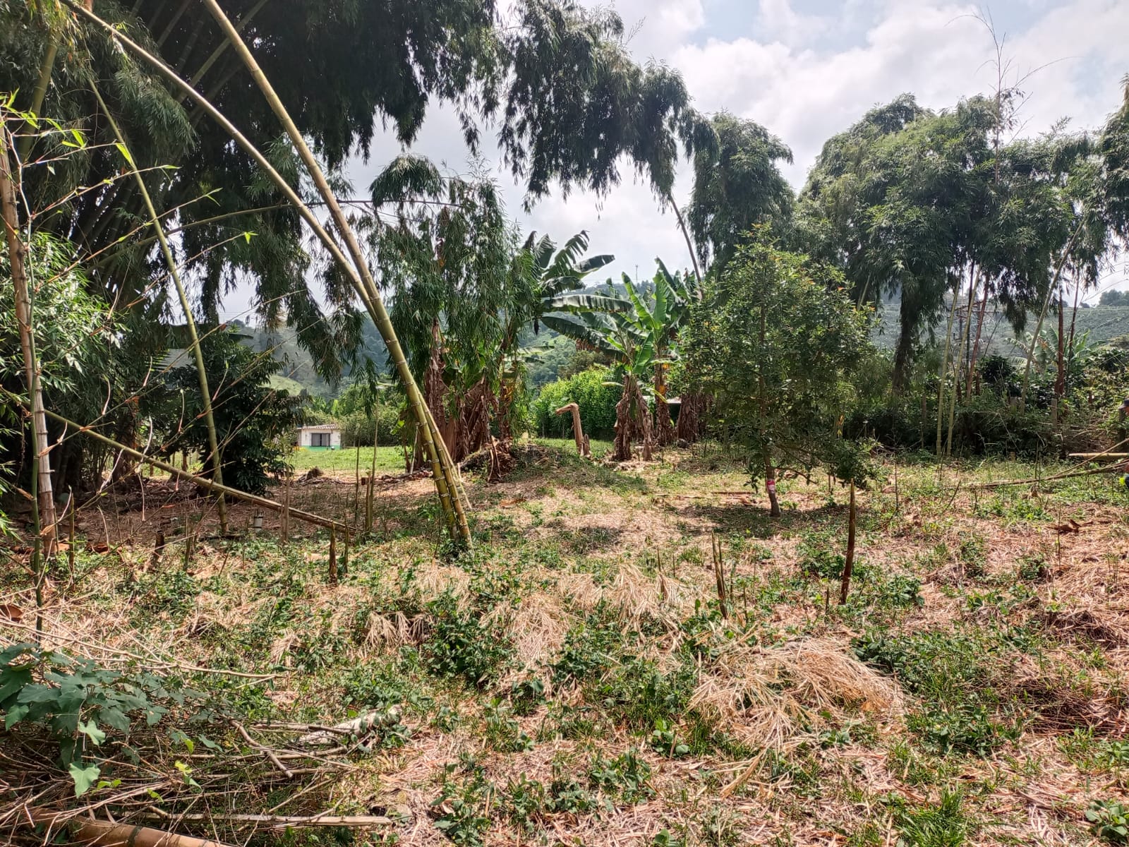 Foto de Lote / terreno en Venta en Santa rosa de cabal, Santa rosa de cabal - 3 - 279059203