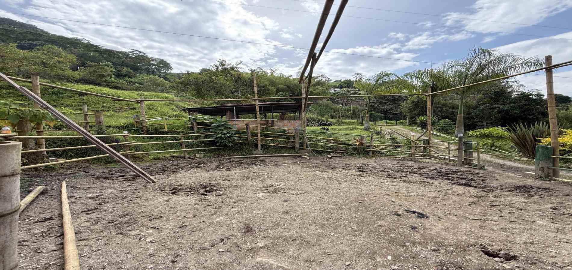 Foto de Finca en Venta en Agua azul, Dosquebradas - 13 - 279063271