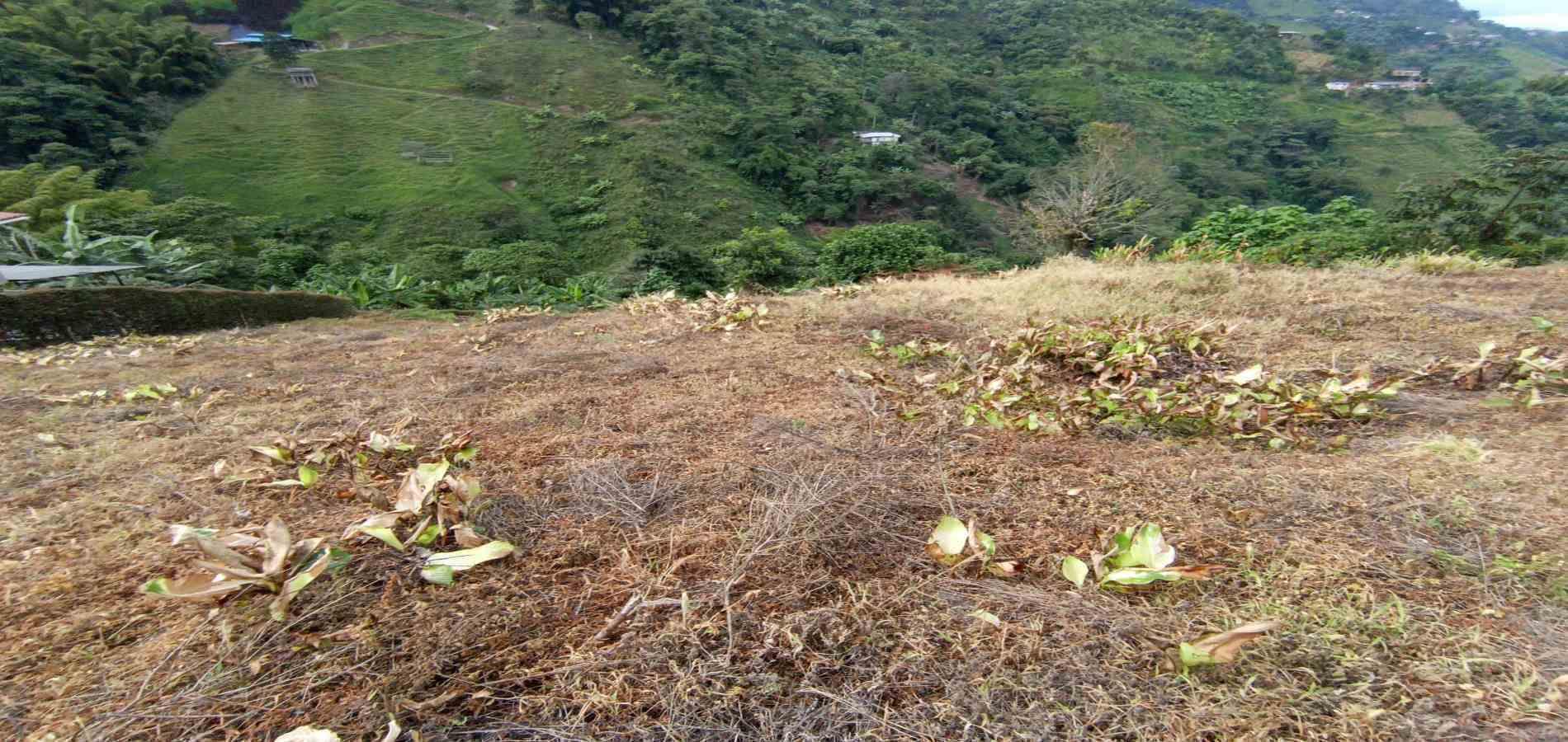 Foto de Lote / terreno en Arriendo en La linda, Manizales - 10 - 279069062