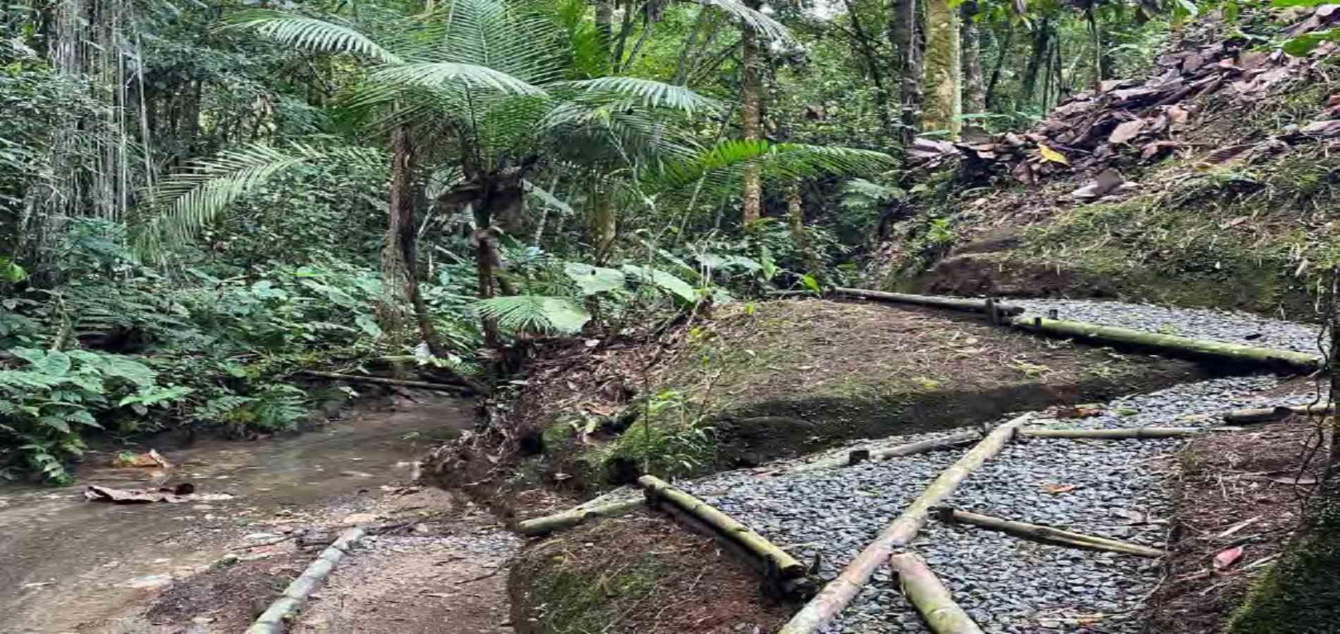 Foto de Casa campestre en Venta en Via armenia, Pereira - 4 - 279056555