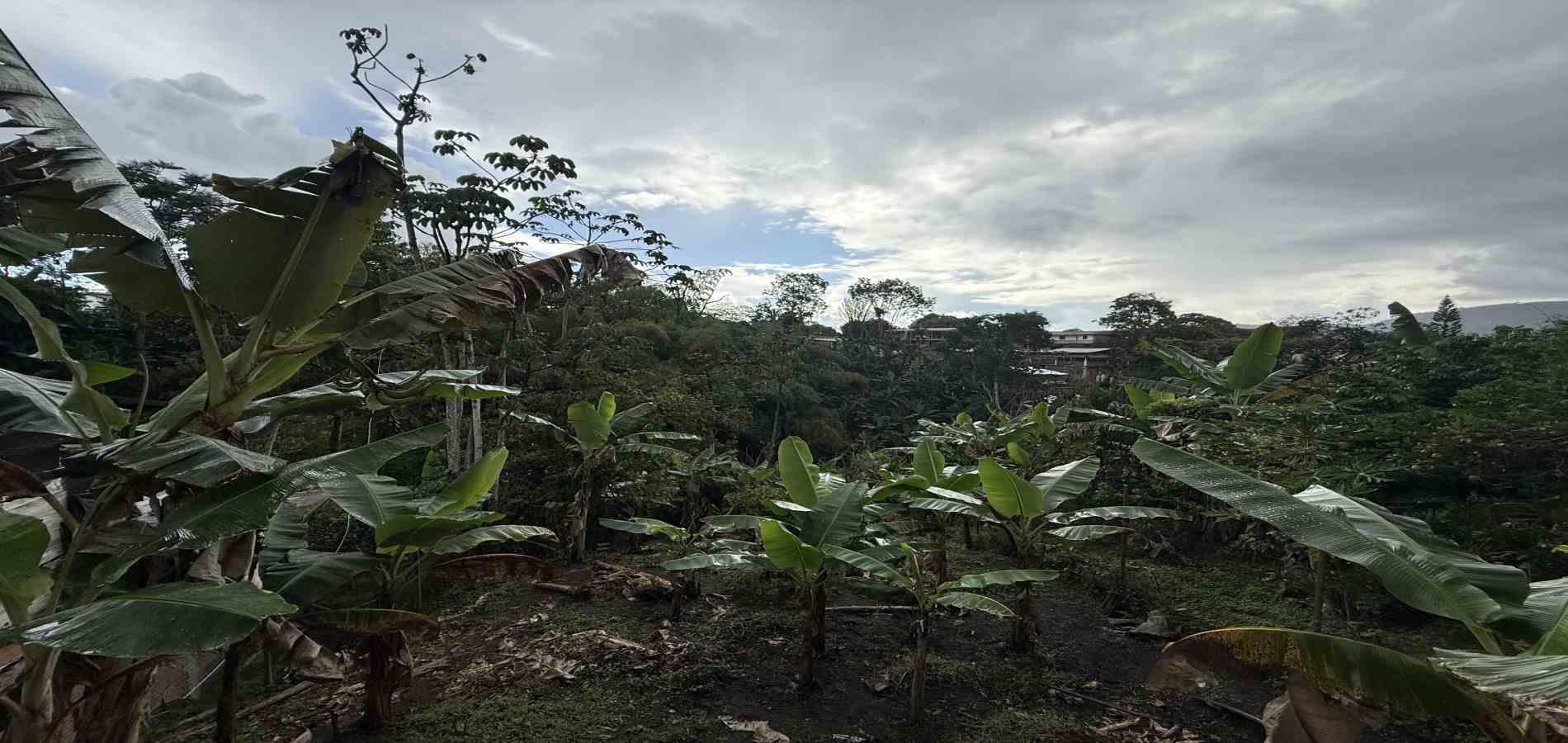 Foto de Casa campestre en Venta en Combia, Pereira - 12 - 279062777