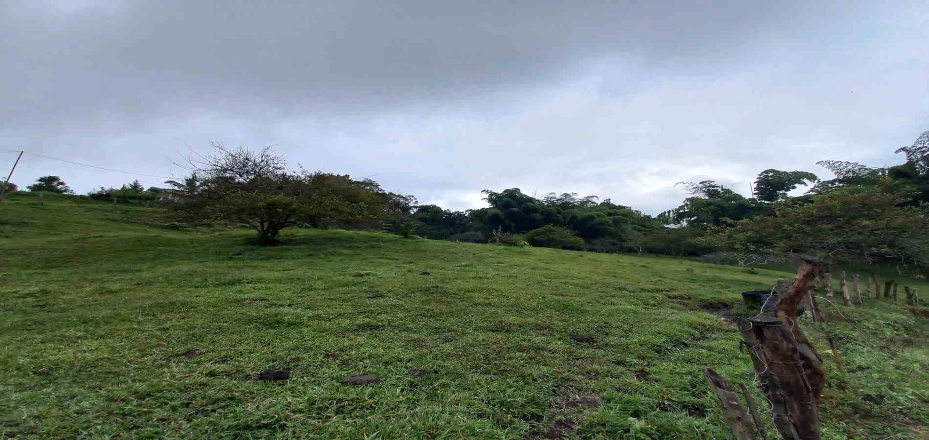 Foto de Lote / terreno en Venta en Veracruz, Santa rosa de cabal - 8 - 279066398