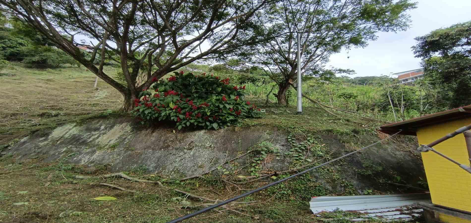 Foto de Lote / terreno en Venta en Vereda la trinidad, Manizales - 22 - 279066610