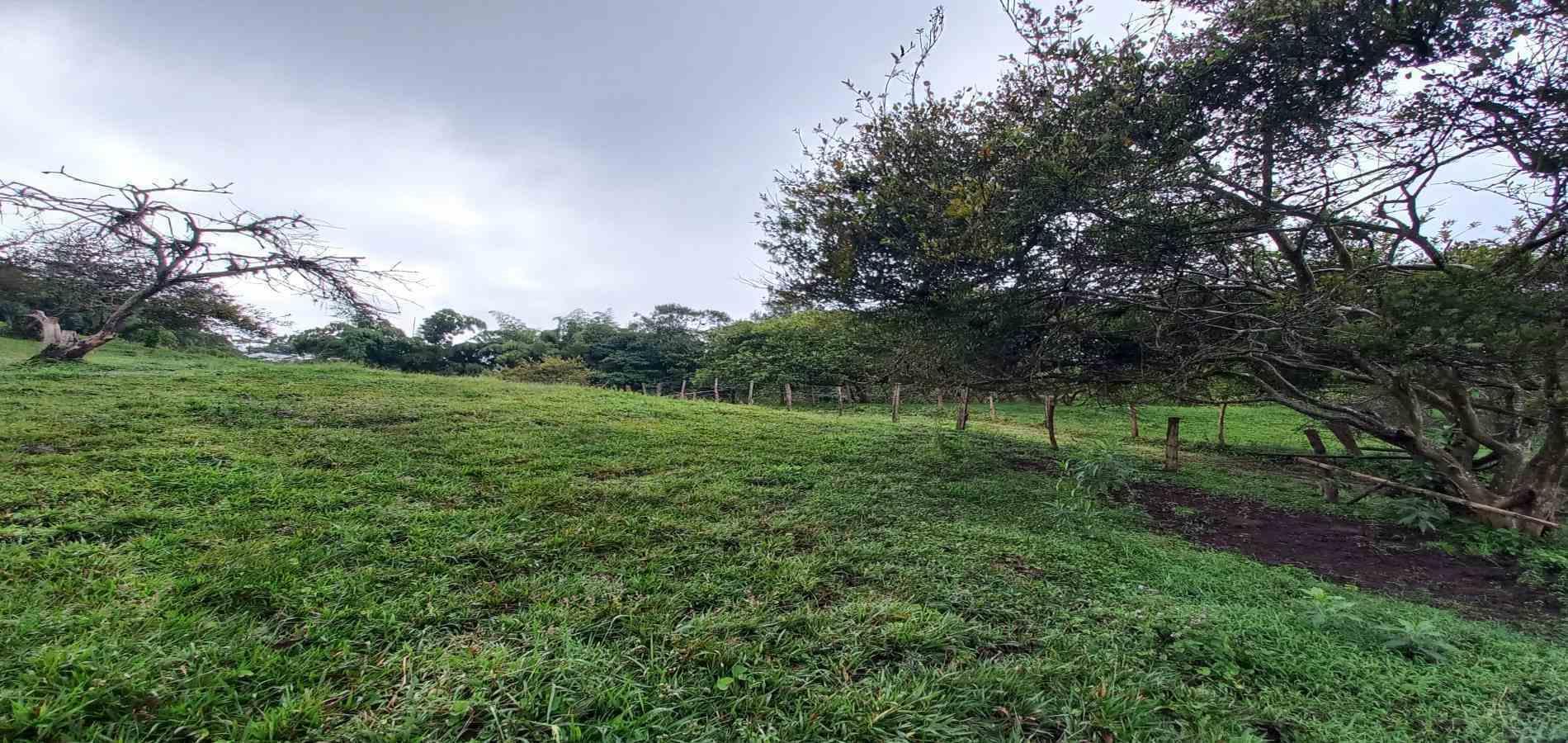 Foto de Lote / terreno en Venta en Veracruz, Santa rosa de cabal - 16 - 279066398