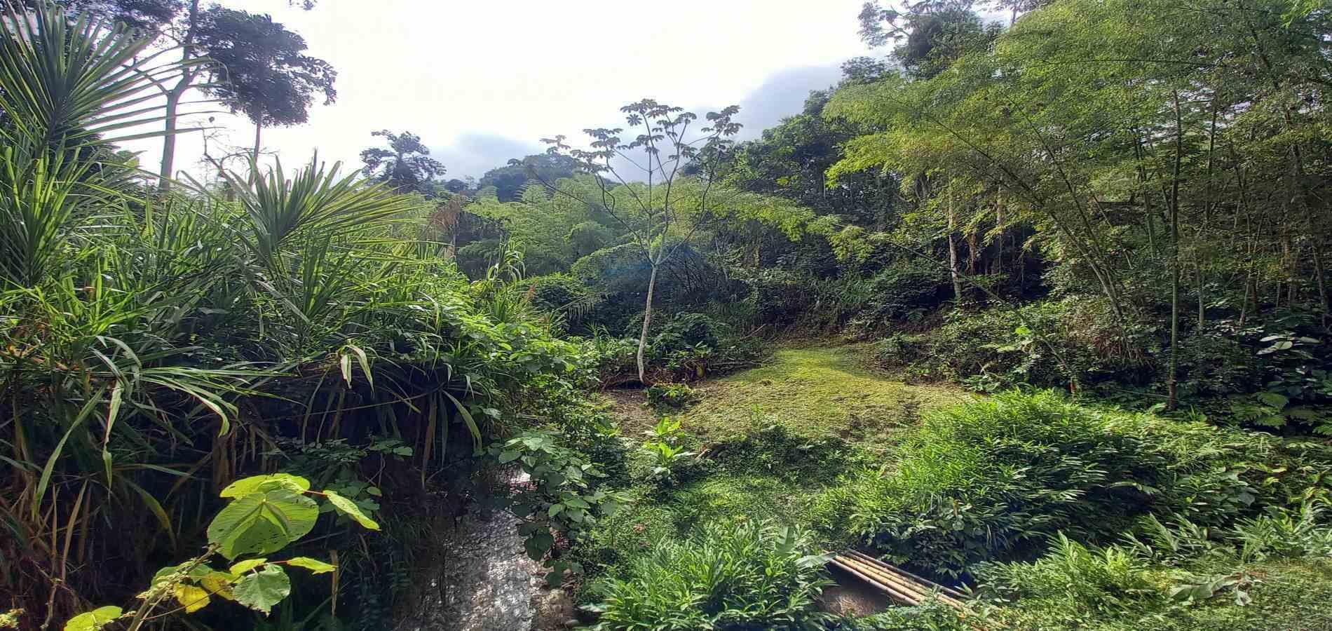 Foto de Lote / terreno en Venta en Vereda la trinidad, Manizales - 10 - 279062689