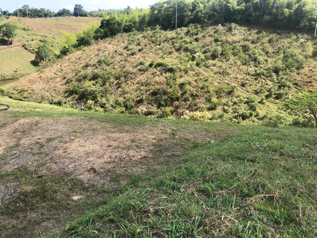 Foto de Lote / terreno en Venta en Cerritos, Pereira - 7 - 279055622