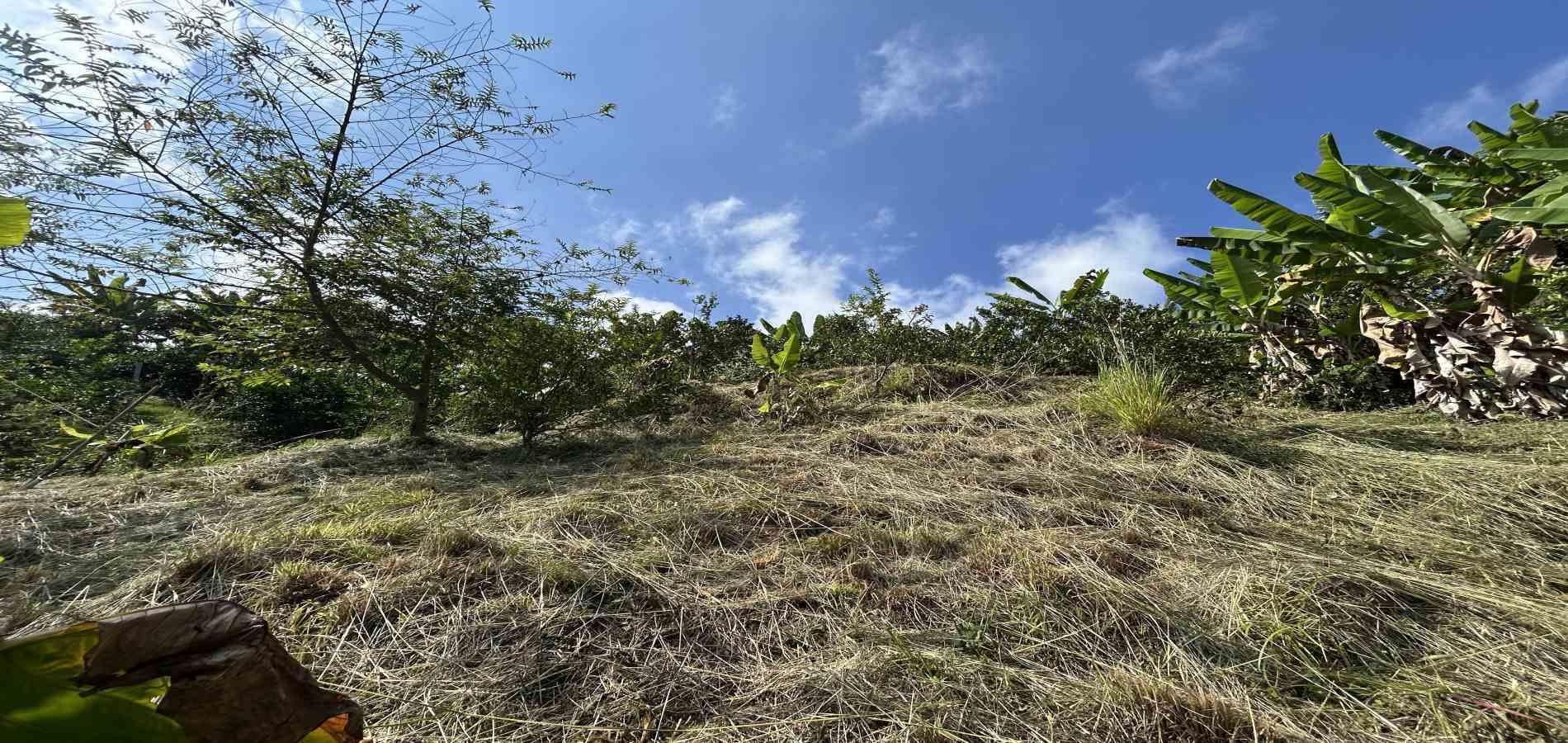 Foto de Lote / terreno en Venta en Cerritos, Pereira - 8 - 279068246