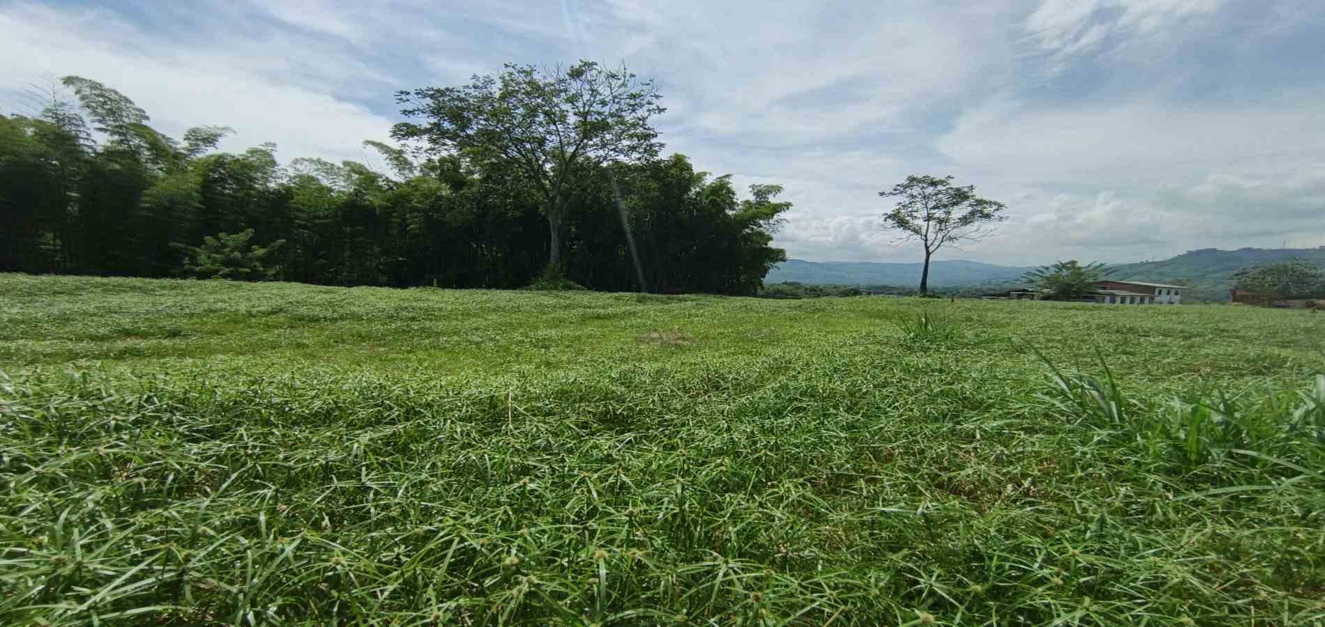 Foto de Lote / terreno en Venta en Vereda santagueda, Palestina - 5 - 279064609