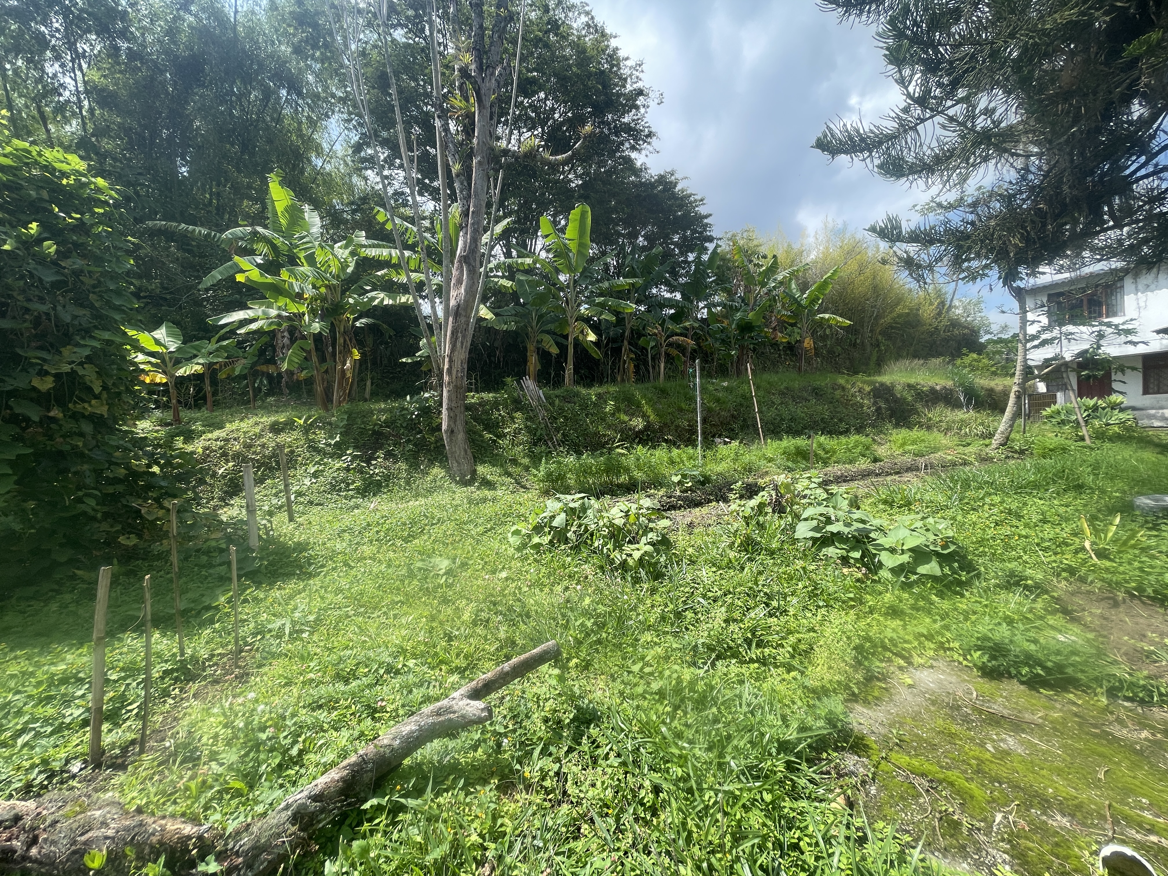 Foto de Lote / terreno en Venta en Av bolivar, Armenia  - 9 - 279065795