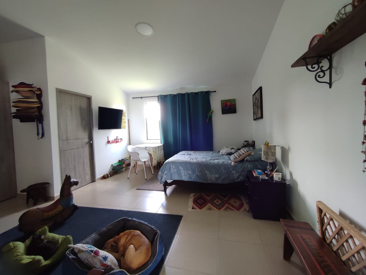 Foto de Finca en Venta en Vereda condina, Pereira - 20 - 279064120