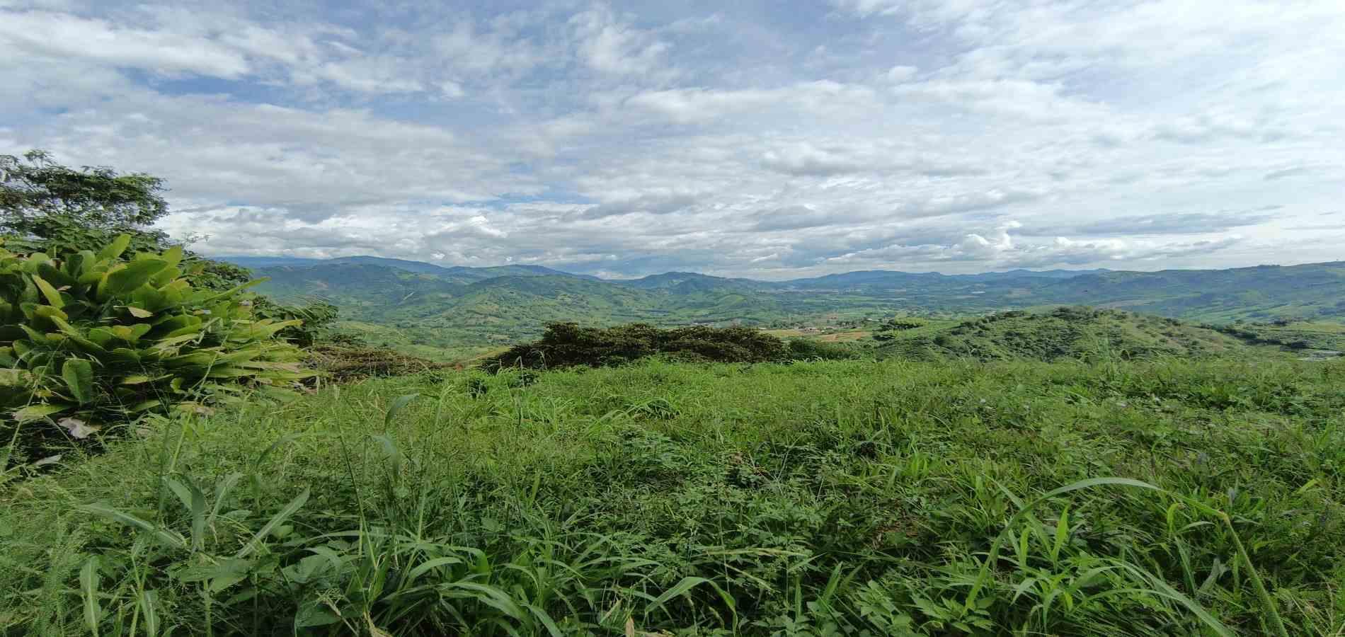 Foto de Lote / terreno en Venta en San peregrino, Manizales - 29 - 279068552