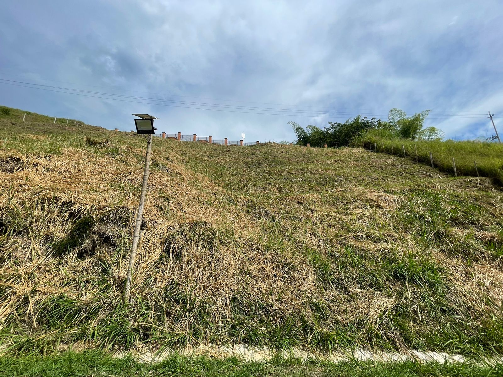 Foto de Lote / terreno en Venta en Cerritos, Pereira - 11 - 279058389