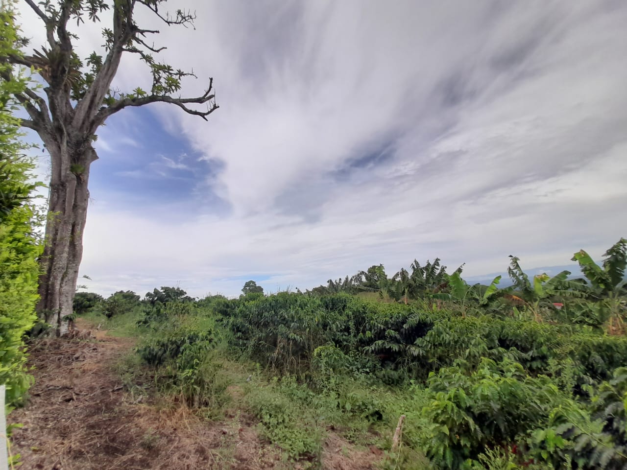 Foto de Lote / terreno en Venta en Arabia, Pereira - 3 - 279059189