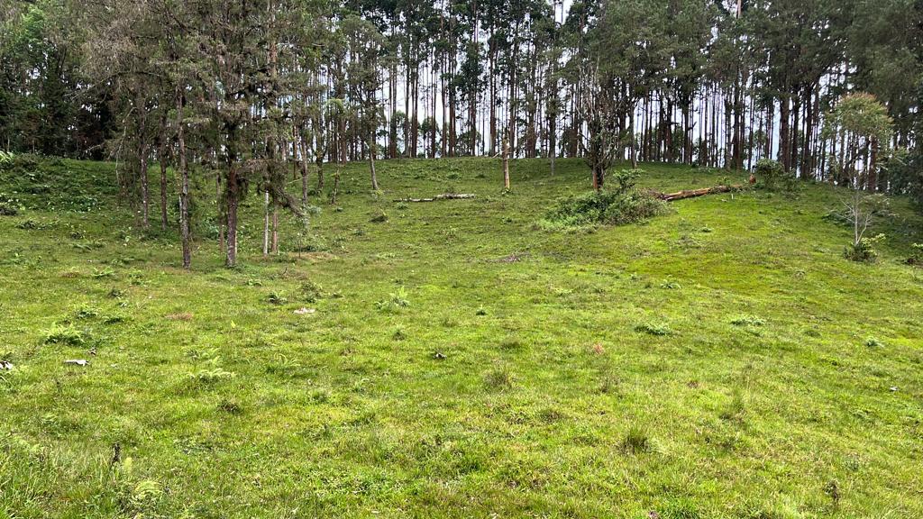 Foto de Lote / terreno en Venta en Via armenia, Pereira - 12 - 279066674