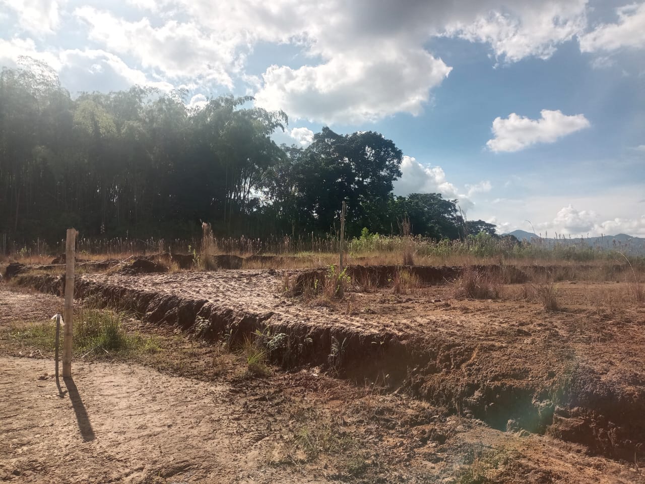 Foto de Lote / terreno en Venta en Via armenia, Pereira - 3 - 279052343