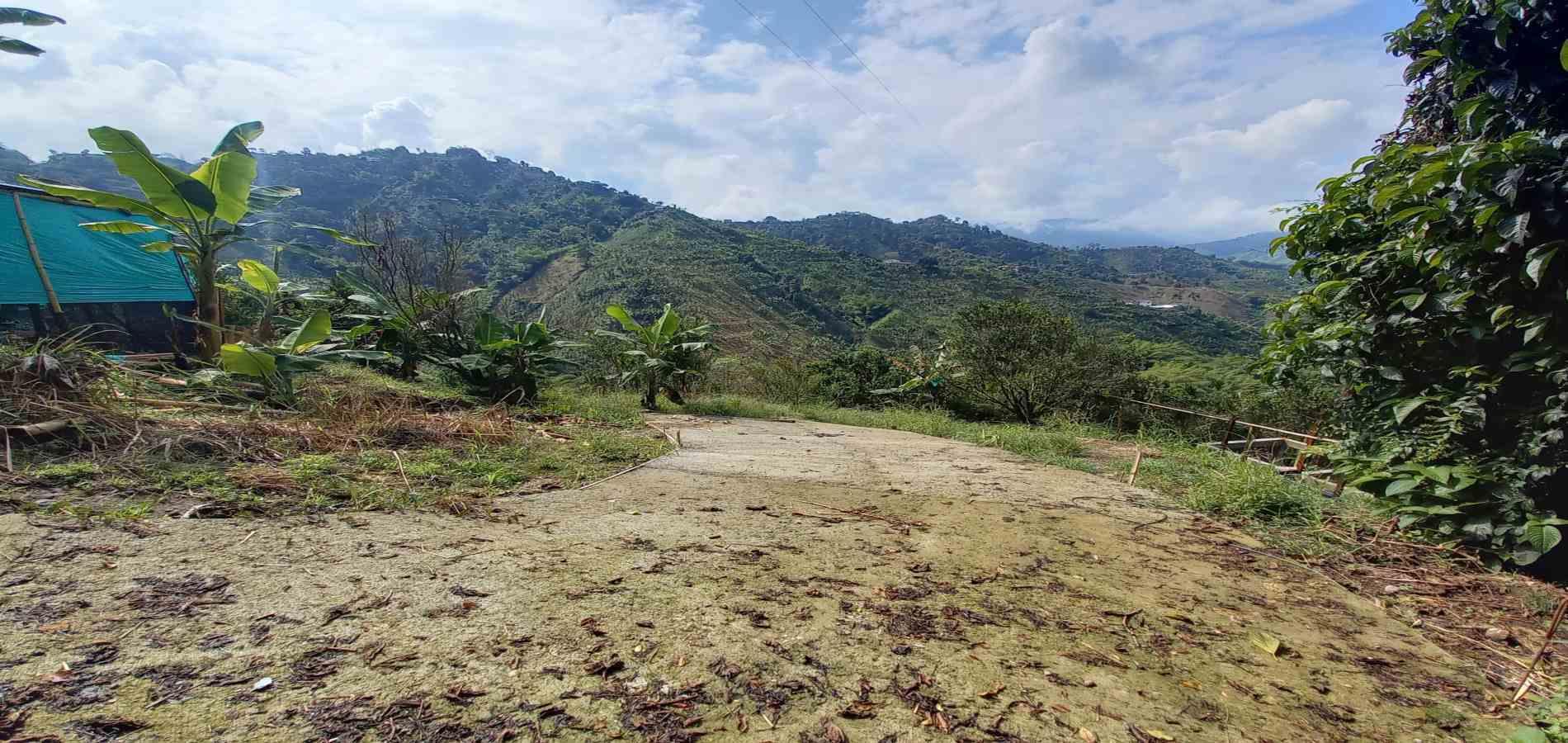 Foto de Finca en Venta en San peregrino, Manizales - 5 - 279061656