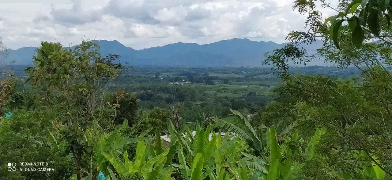 Foto de Lote / terreno en Venta en Altagracia, Pereira - 9 - 279057421