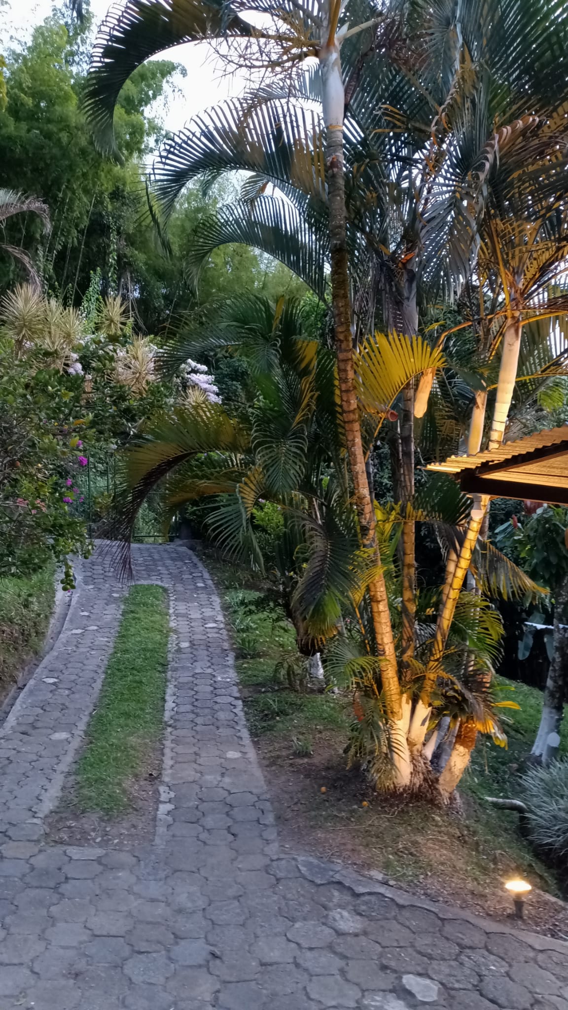 Foto de Finca en Venta en La cabaña, Manizales - 4 - 279053151