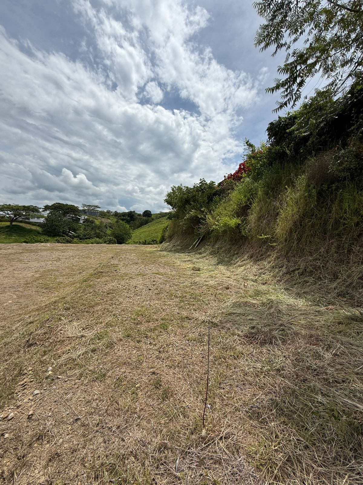Foto de Lote / terreno en Venta en Cerritos, Pereira - 9 - 279065028