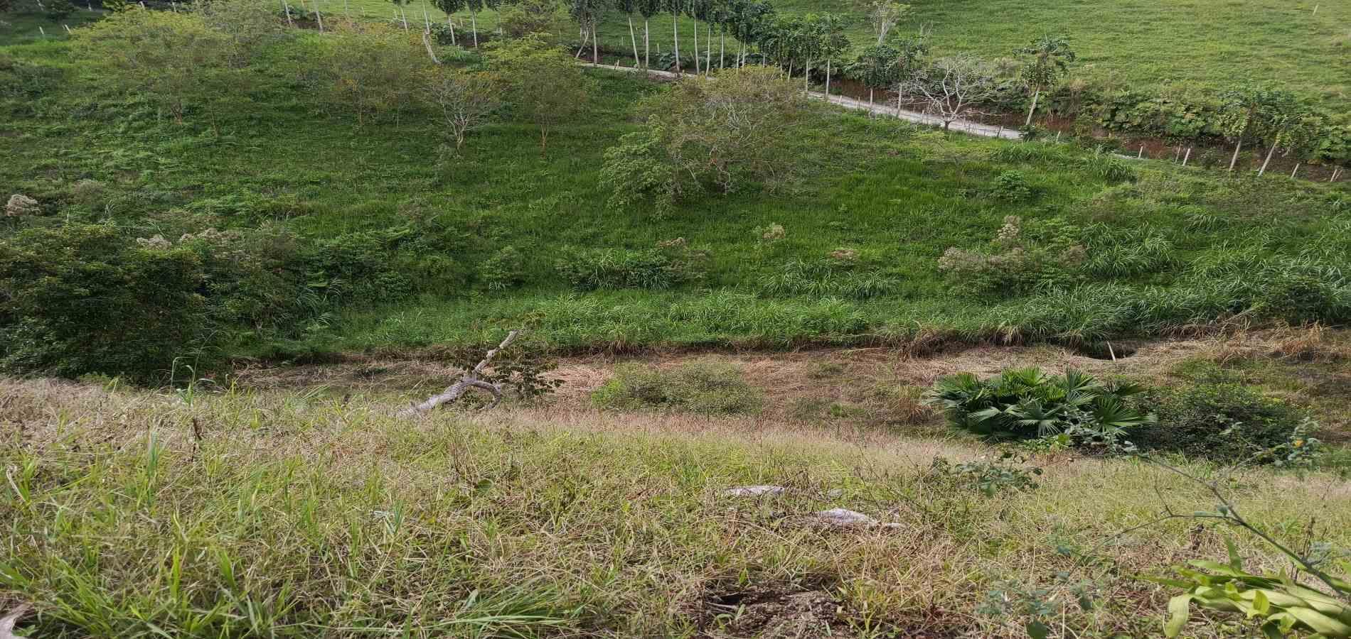 Foto de Lote / terreno en Venta en Via alcala, Pereira - 6 - 279061897