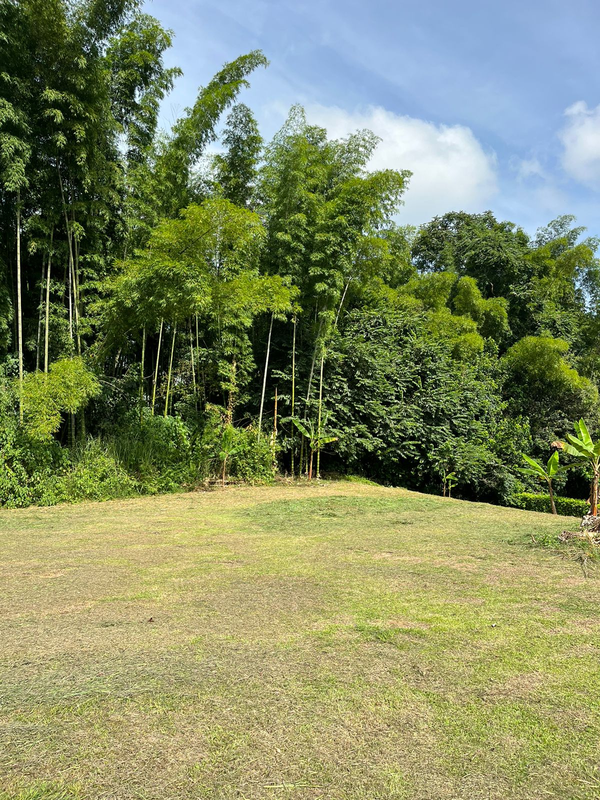 Foto de Lote / terreno para Venta en Vereda santagueda, Palestina - 279064111