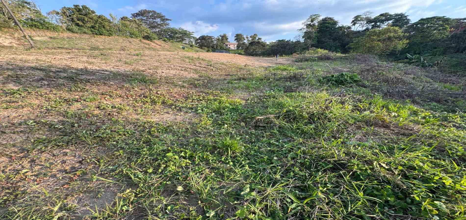 Foto de Lote / terreno en Venta en Via armenia, Pereira - 3 - 279060751