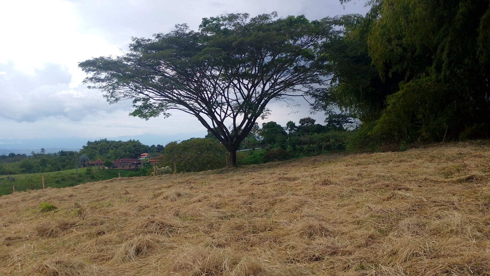 Foto de Lote / terreno en Venta en Filandia, Filandia - 1 - 279066855