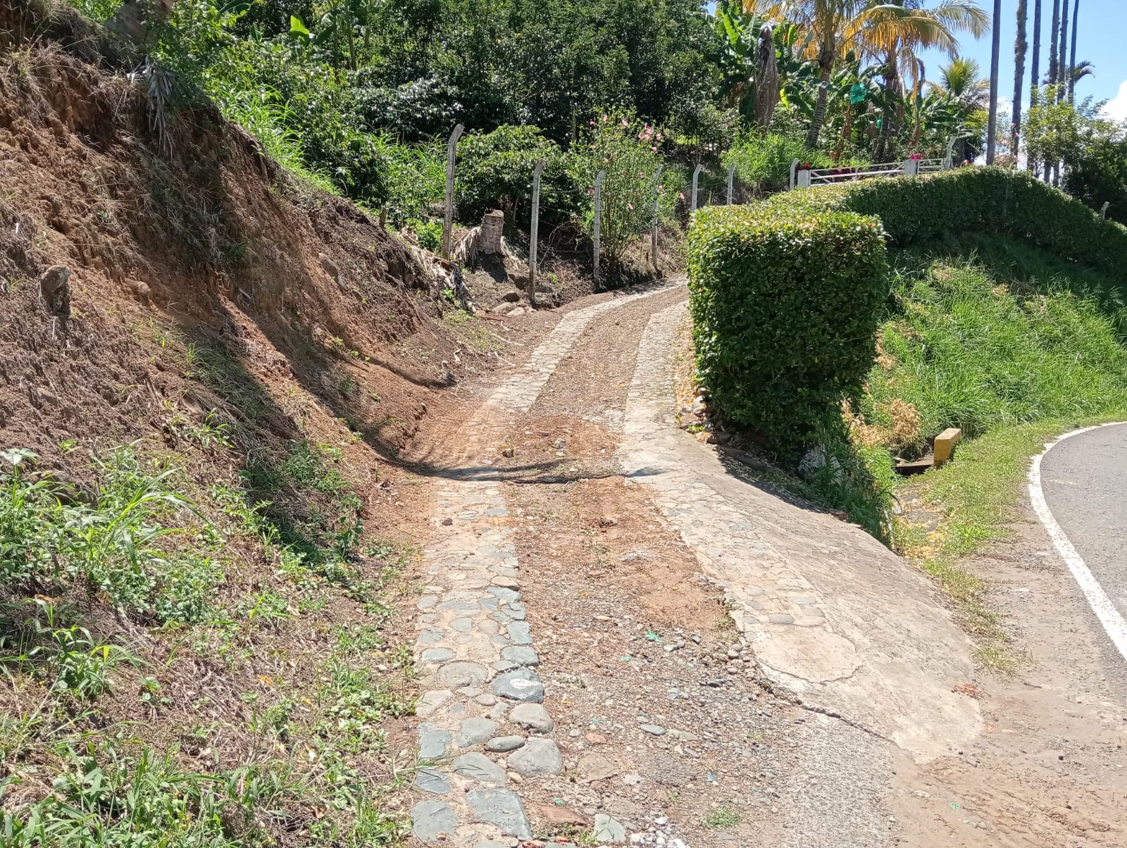 Foto de Finca en Venta en Anserma, Anserma - 15 - 279070221