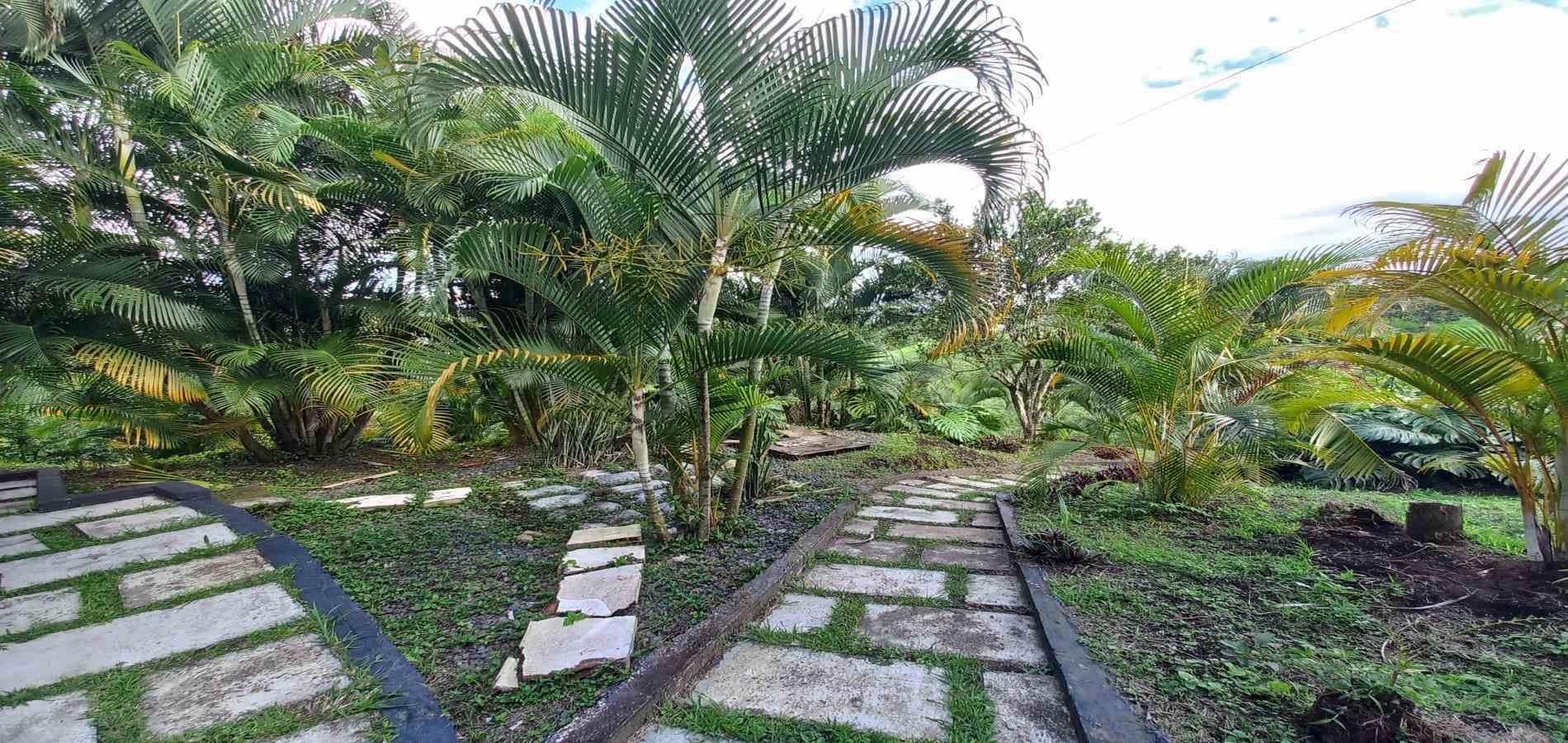 Foto de Finca en Venta en Combia, Pereira - 36 - 279066481