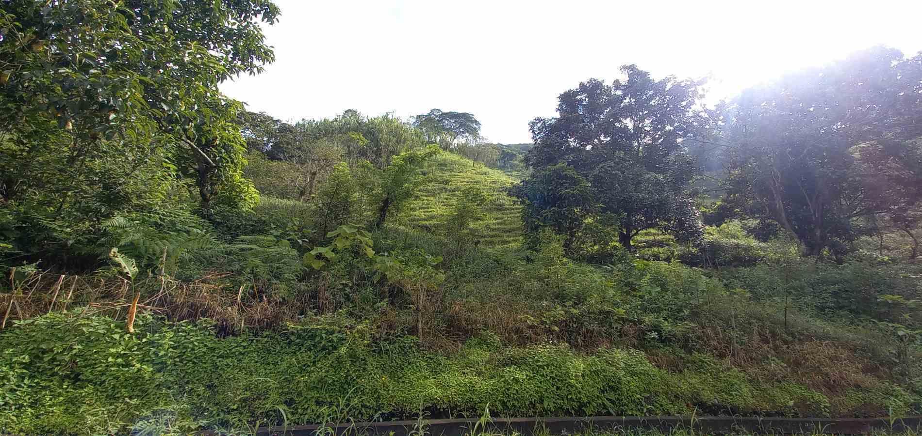 Foto de Lote / terreno en Venta en Vereda la trinidad, Manizales - 13 - 279062688