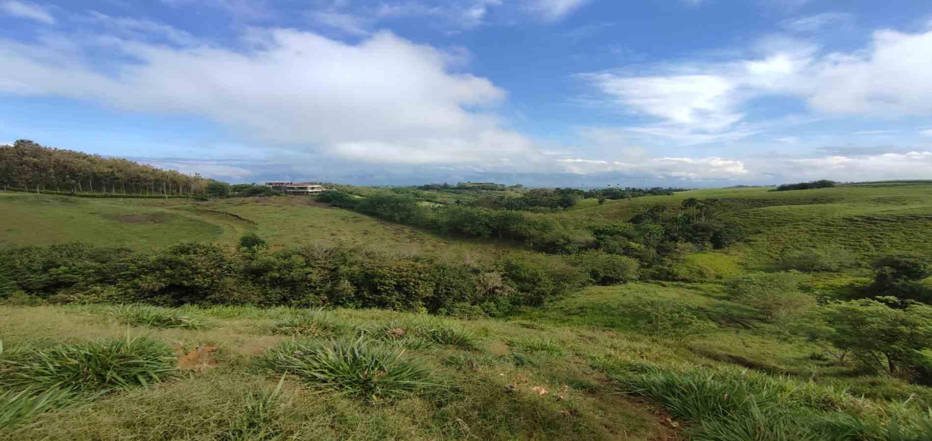 Foto de Lote / terreno en Venta en Cerritos, Pereira - 10 - 279063190