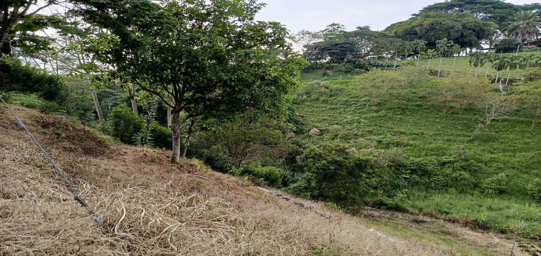 Foto de Lote / terreno en Venta en Via alcala, Pereira - 10 - 279061897