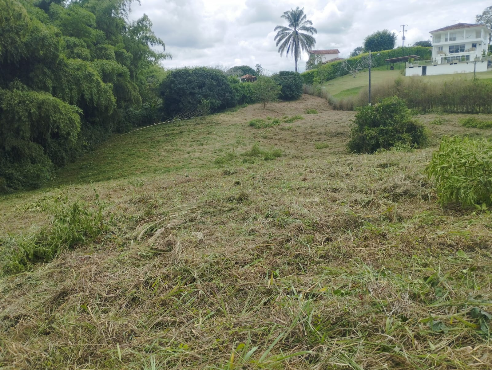 Foto de Lote / terreno para Venta en Cerritos, Pereira - 279069383