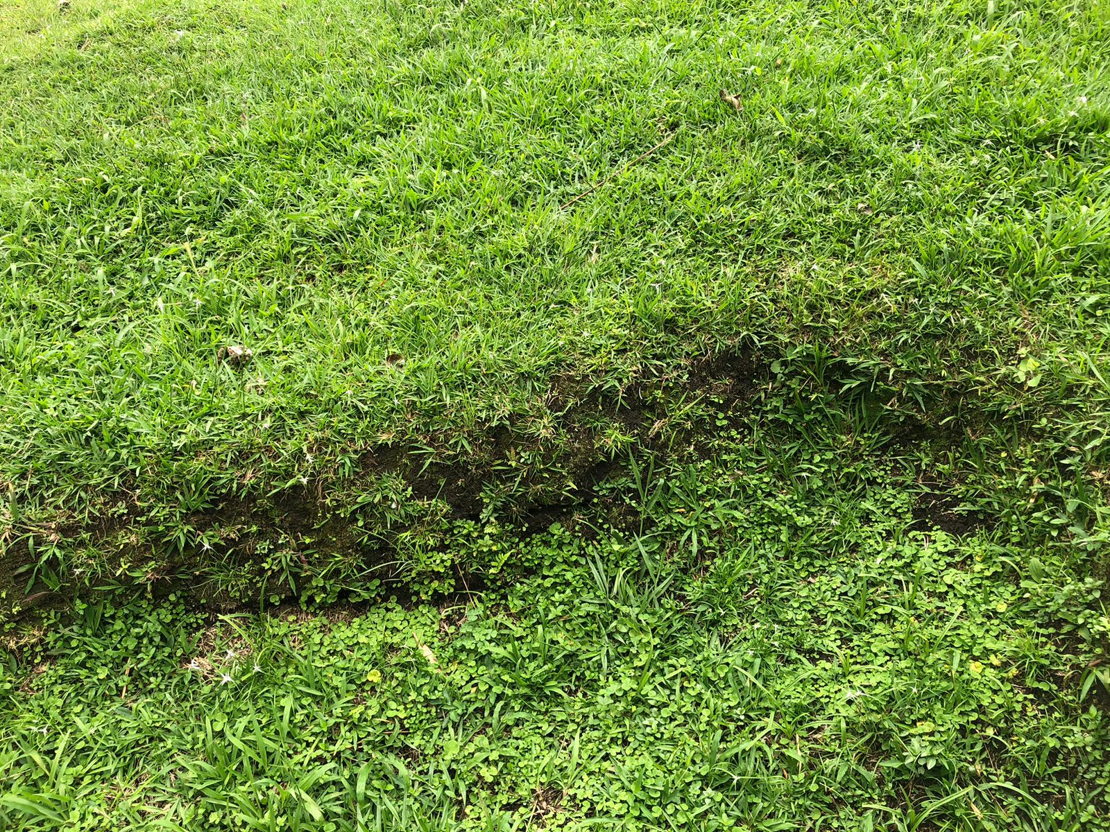 Foto de Lote / terreno en Venta en Av. la romelia el pollo, Dosquebradas - 8 - 279025660