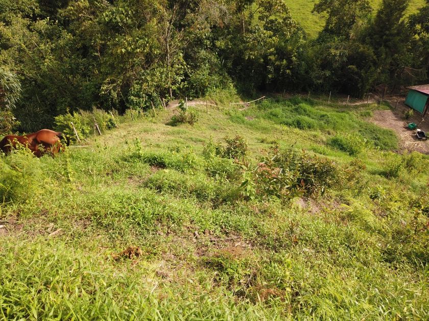 Foto de Lote / terreno en Venta en VillamarÍa, Villamaria - 9 - 279056144