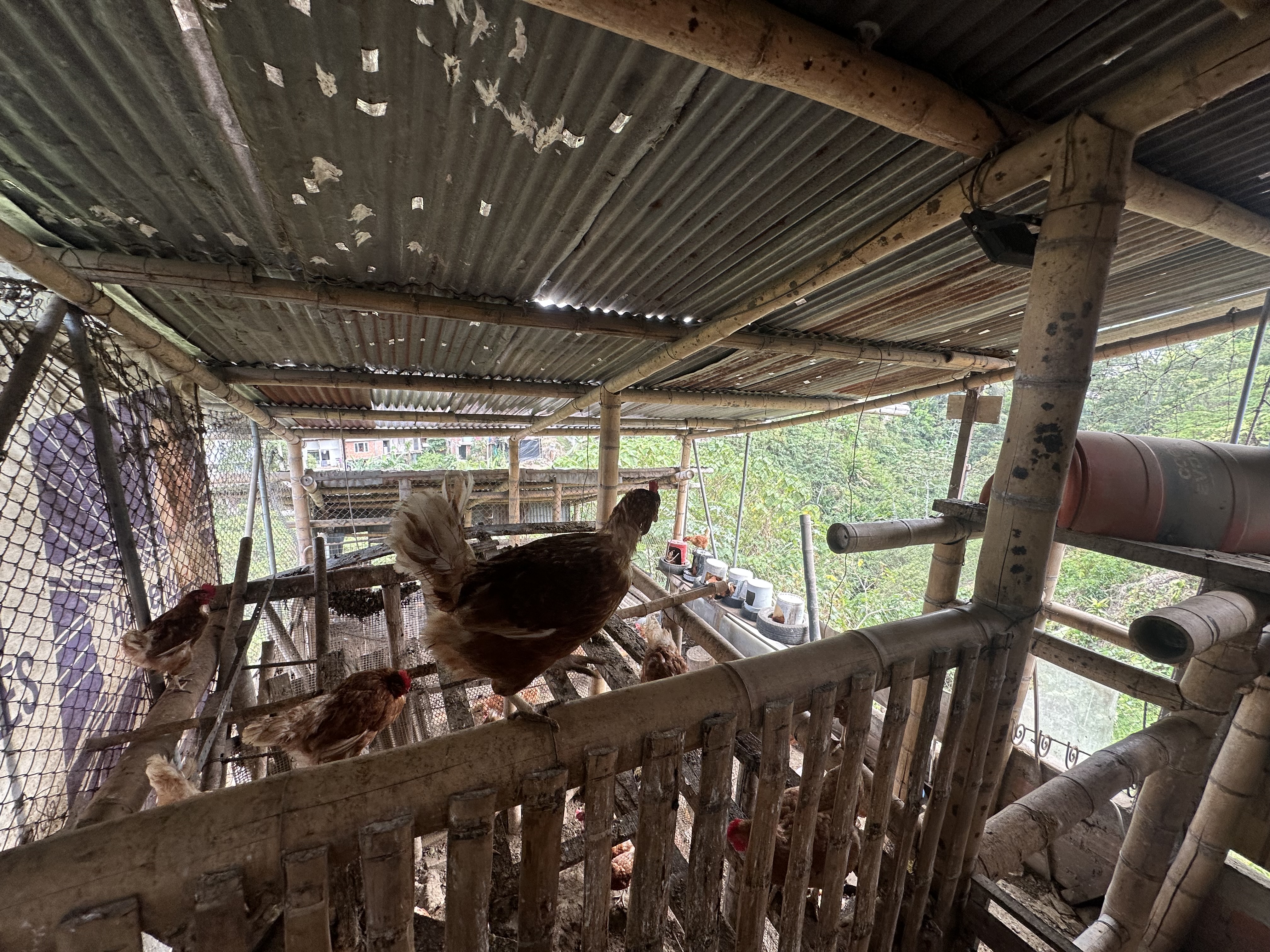 Foto de Casa en Venta en Mariposario, Calarca - 24 - 279069794