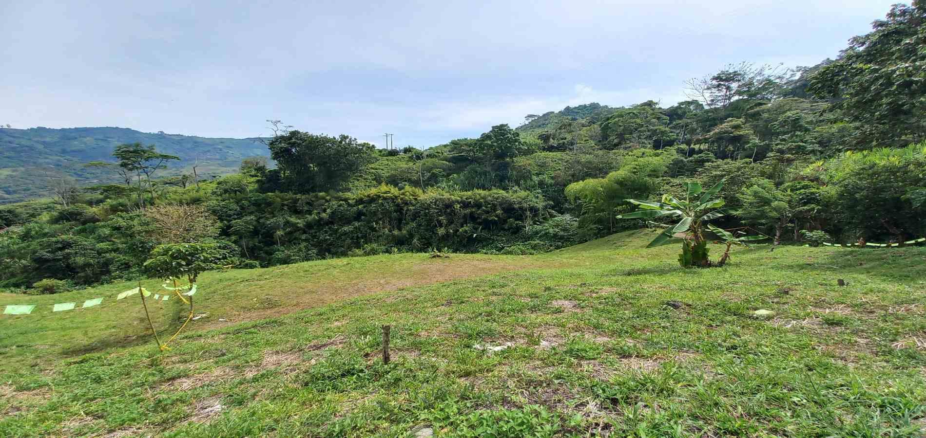 Foto de Lote / terreno para Venta en Combia, Pereira - 279069588