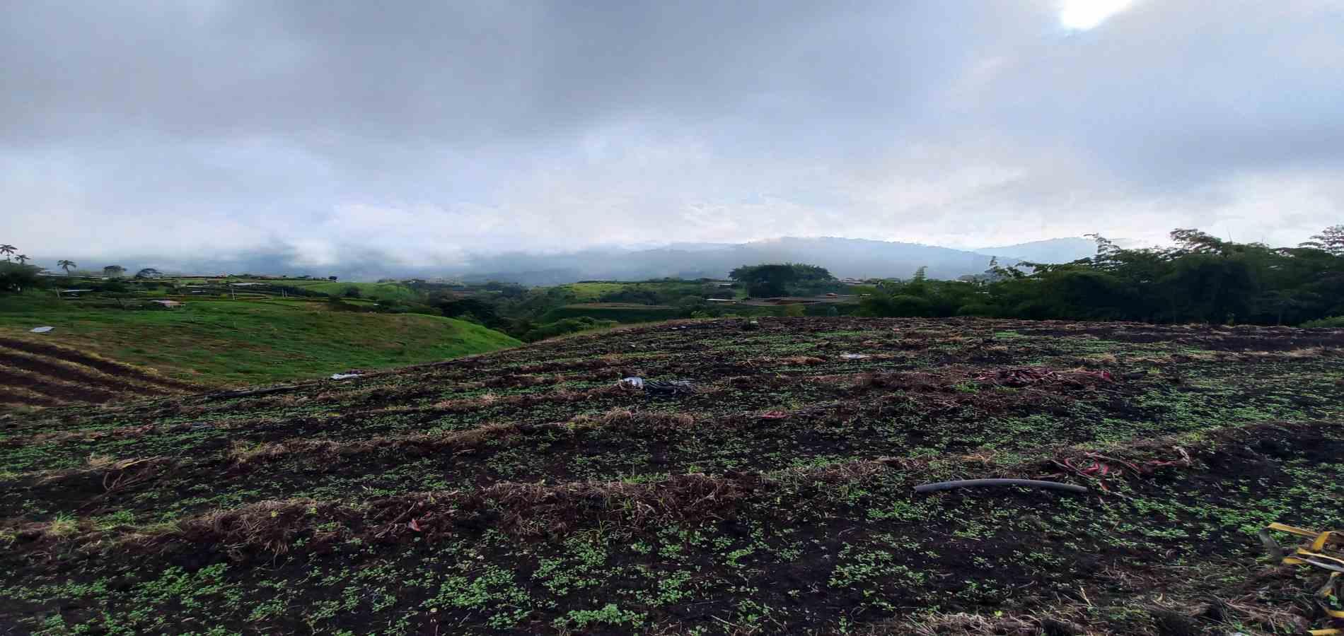 Foto de Lote / terreno en Venta en Vereda el lembo, Santa rosa de cabal - 4 - 279066290