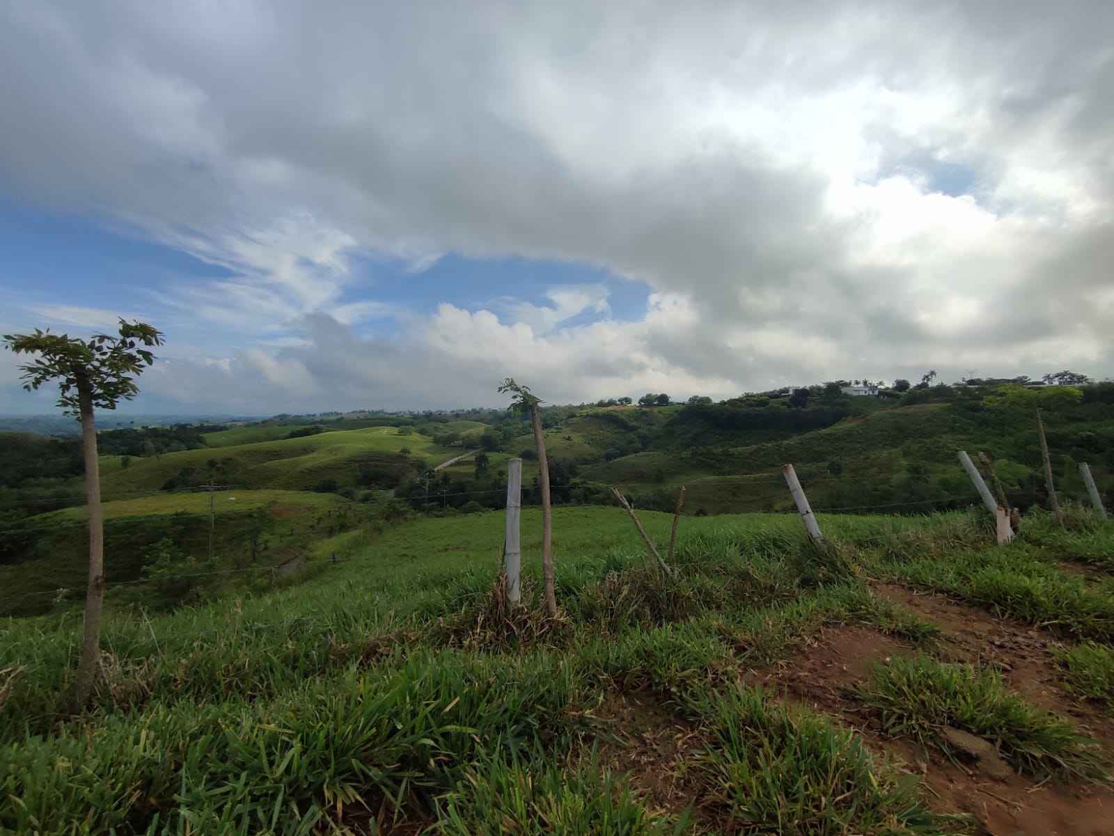 Foto de Lote / terreno en Venta en Cerritos, Pereira - 8 - 279063210